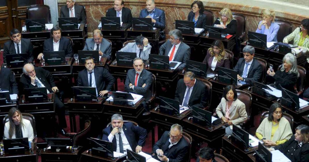 arranca-el-debate-de-la-ley-bases-en-el-senado-y-el-peronismo-elabora-un-plan-para-voltear-la-norma