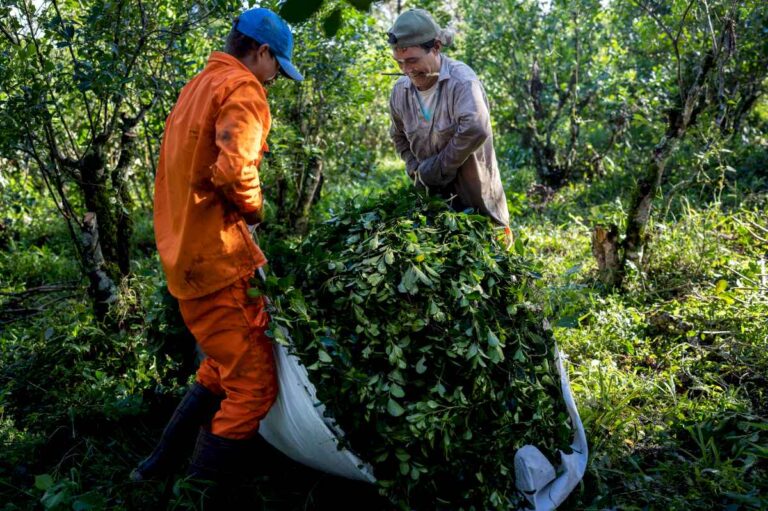 esto-termina-en-un-conflicto-social,-advierten-yerbateros-ante-la-carga-impositiva-y-las-importaciones