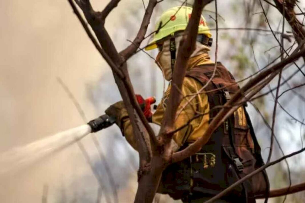 el-fuego-en-cordoba-avanzo-sobre-mas-de-12.600-hectareas
