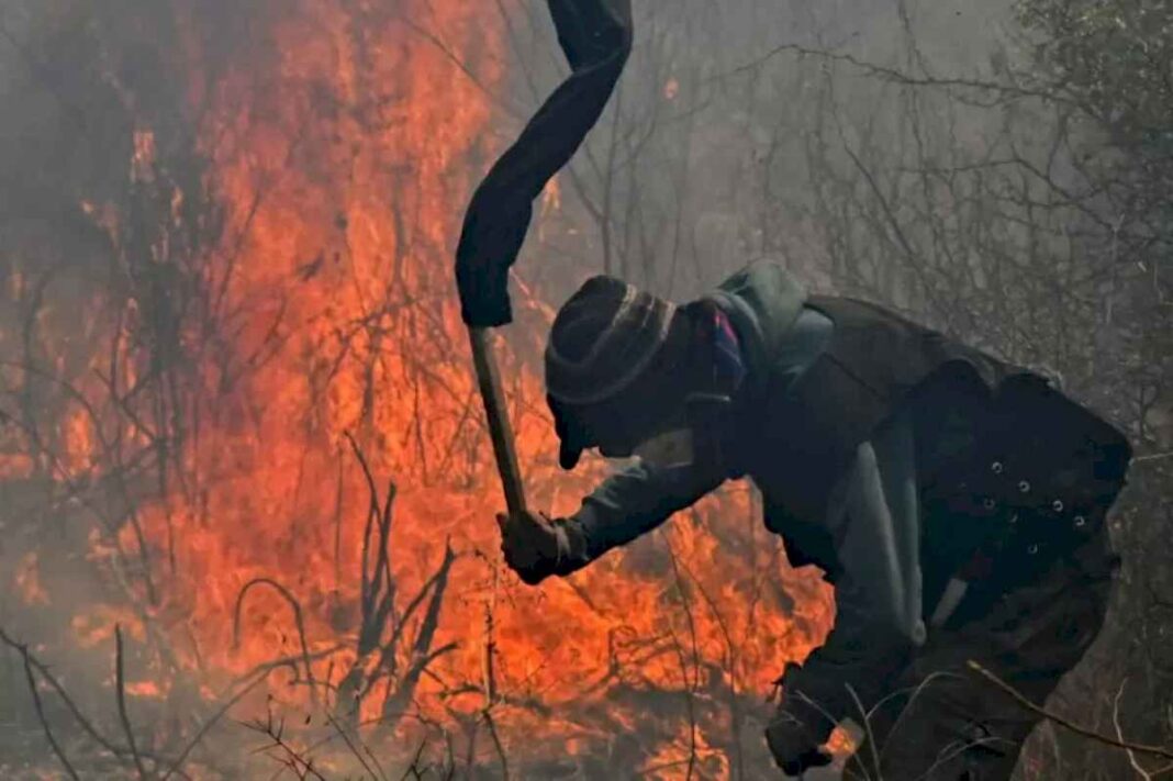 la-trama-oculta-detras-de-los-incendios-forestales-en-cordoba