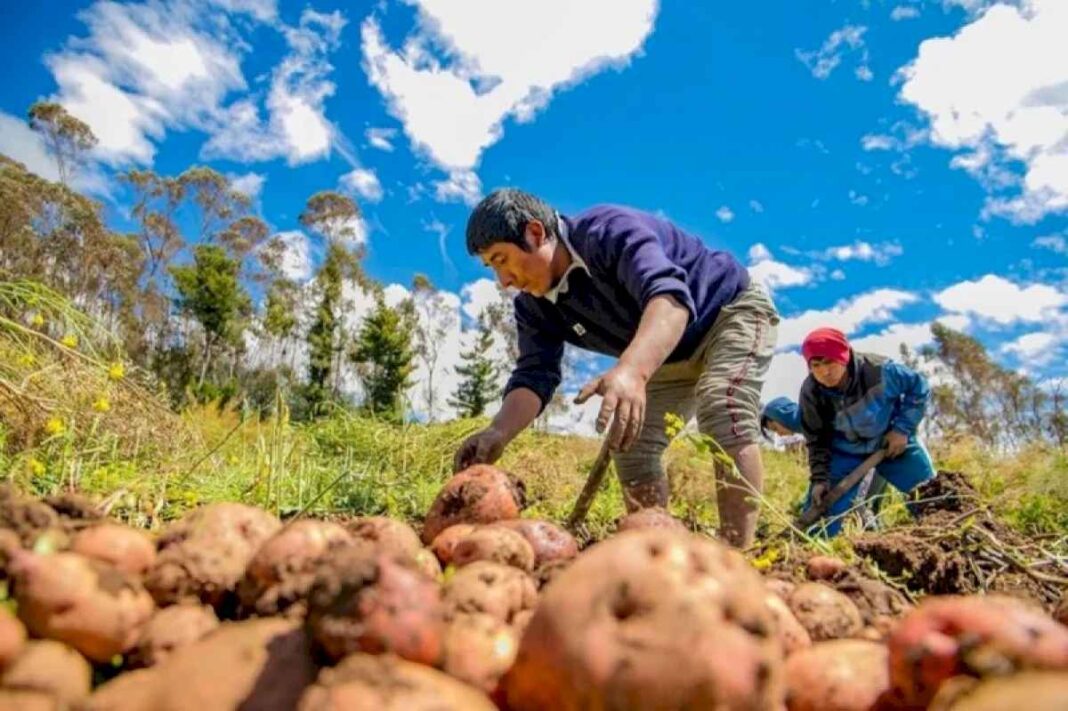 milei-elimino-mas-de-100-politicas-publicas-vinculadas-al-acceso-de-alimentos