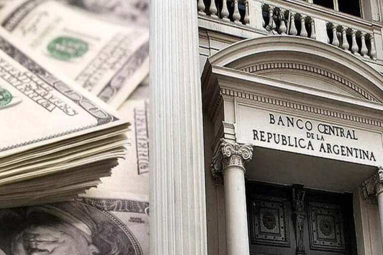 El BCRA compró USD 167 millones hoy y acumula 876 millones de dólares en enero