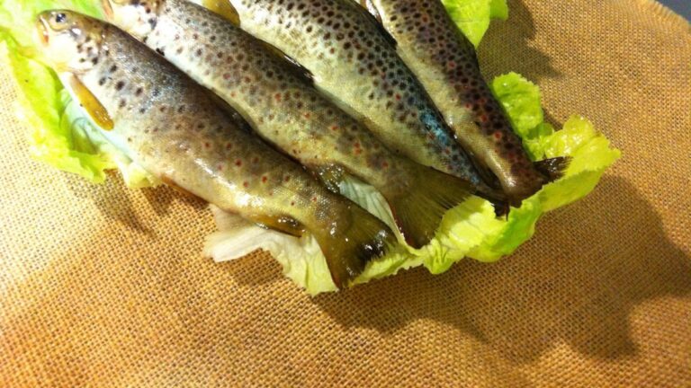 Secuestraron 79 truchas por pesca ilegal en Neuquén: quiénes se las comieron