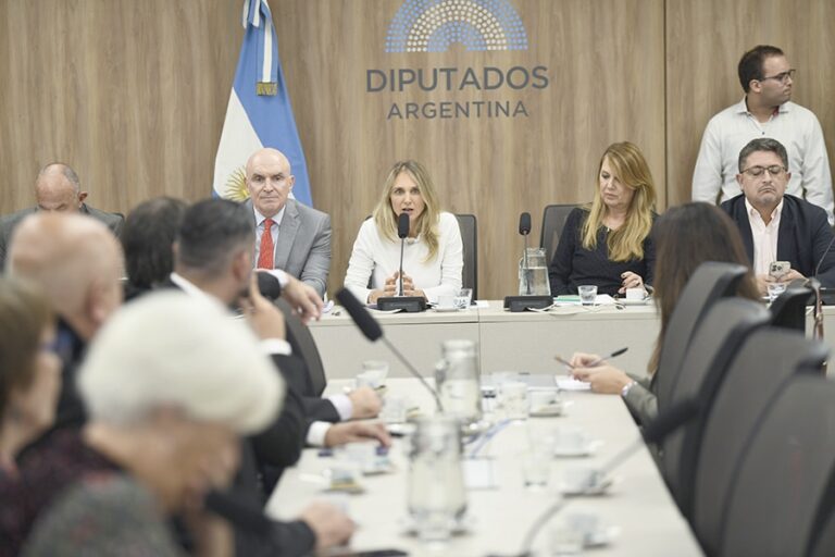 Reunión plenaria para debatir la moratoria previsional