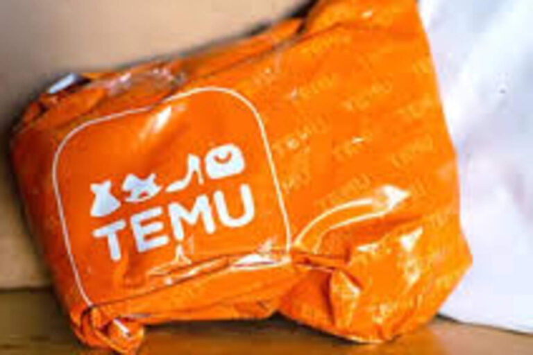 Las redes liberales le paran el rumbo al gobierno: Temu no se prohibirá