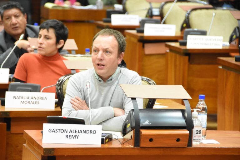 Remy: «Rechazamos la venta de las empresas estatales y exigimos que rindan cuentas»