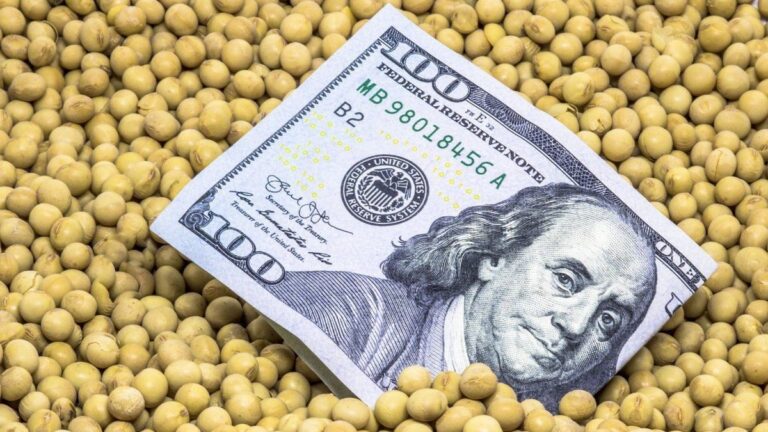 Entre la sorpresa y la satisfacción, la reacción del campo al anuncio de retenciones cero para todos los granos