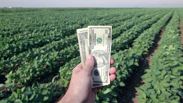 Prematuro fin de la quita de retenciones: las exportaciones del agro ya alcanzaron el cupo de u$s7.000 millones