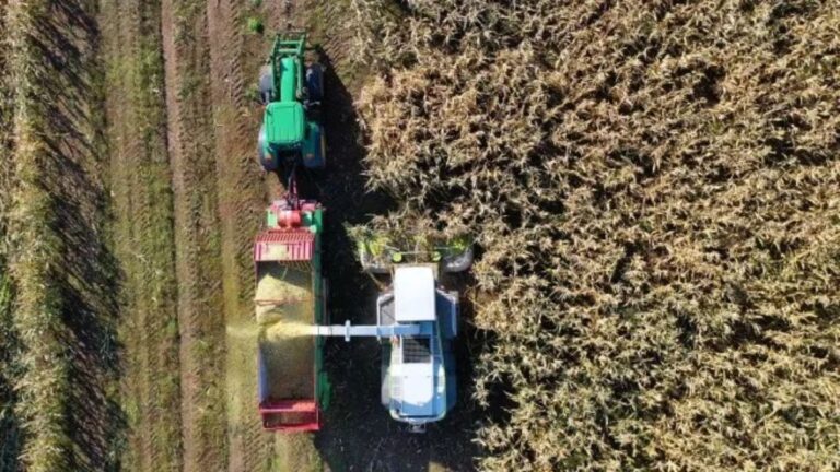 Fin de retenciones cero: productores en alerta, con malestar y dudas sobre el precio de la soja en el mercado local