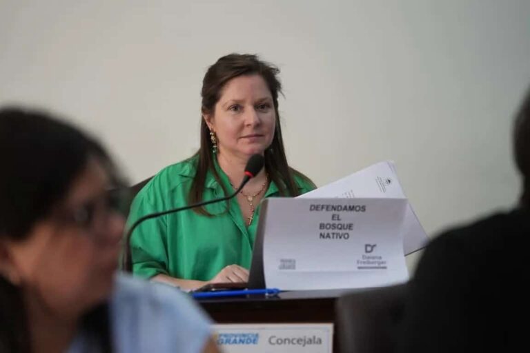 Ushuaia: Proyecto para crear un programa de sepelio solidario