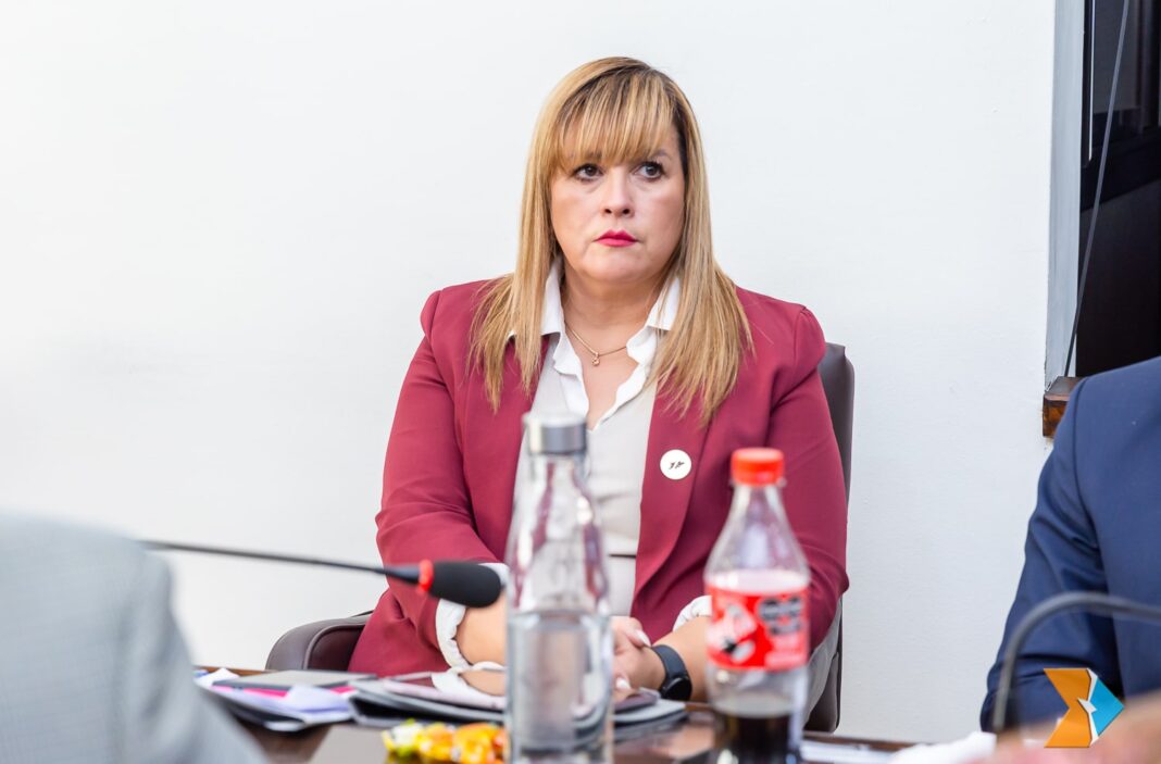 Legisladora provincial Natalia Gracianía durante una sesión legislativa.