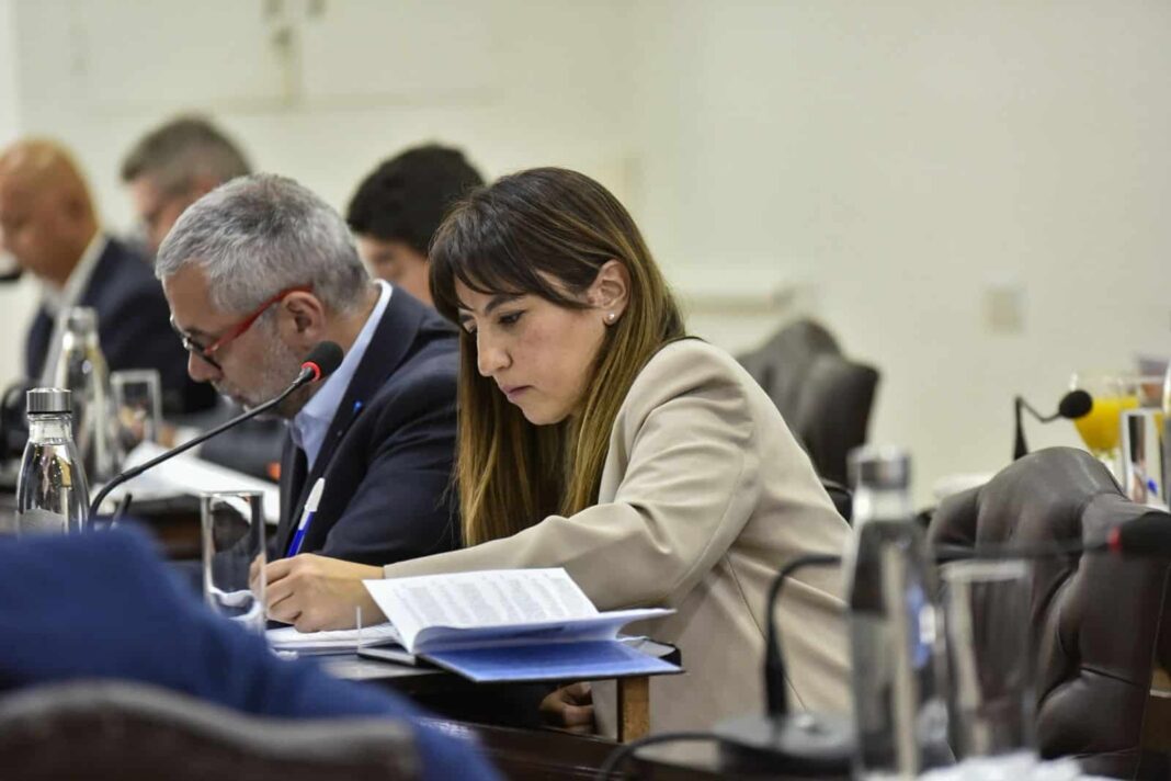 Legisladora María Laura Colazo participando en una jornada comunitaria