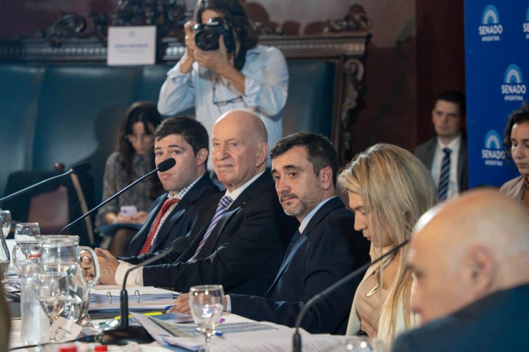 Senador Agustín Pedro Coto durante una sesión de comisión en el Senado de la Nación.