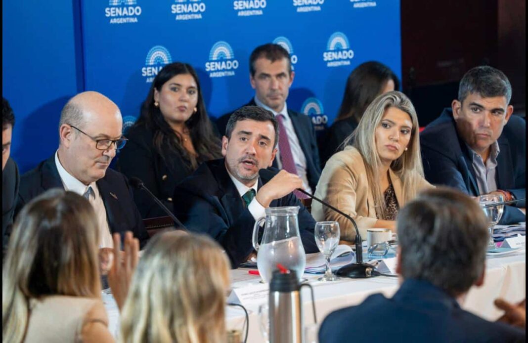 Senador Agustín Pedro Coto durante la sesión informativa en el Senado de la Nación.