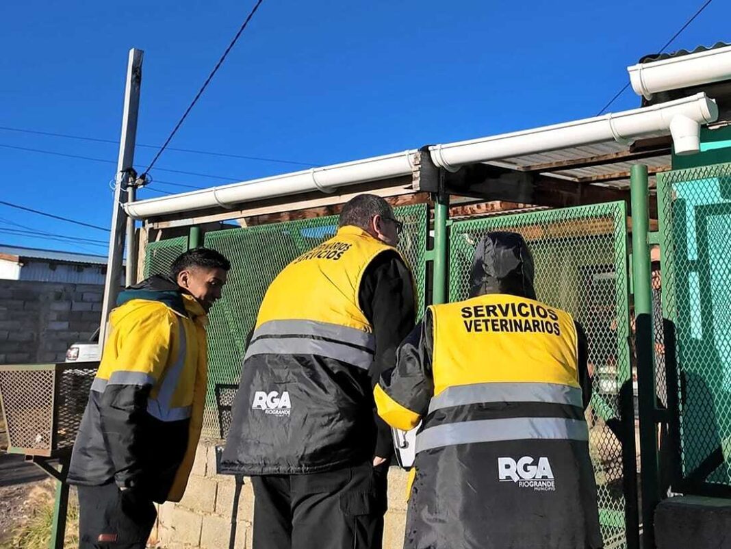 Jornada territorial de servicios veterinarios en Zona Sur y Malvinas Argentinas