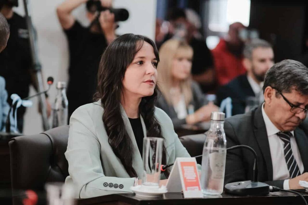 Victoria Vuoto en sesión legislativa de Tierra del Fuego
